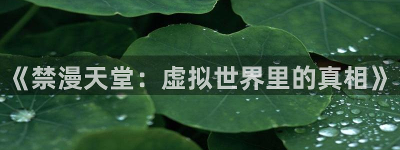禁漫天堂网下载