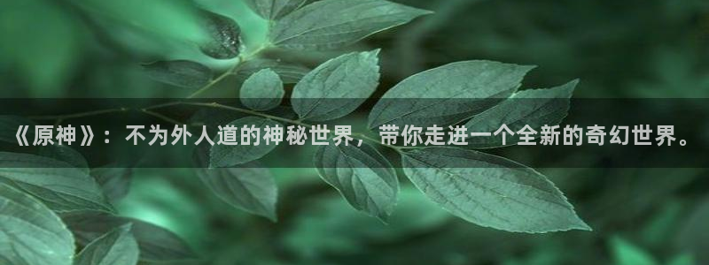 age专注动漫的门户网站：《原神》：不为外人道的神秘世界，带你走进一个全新的奇幻世界。