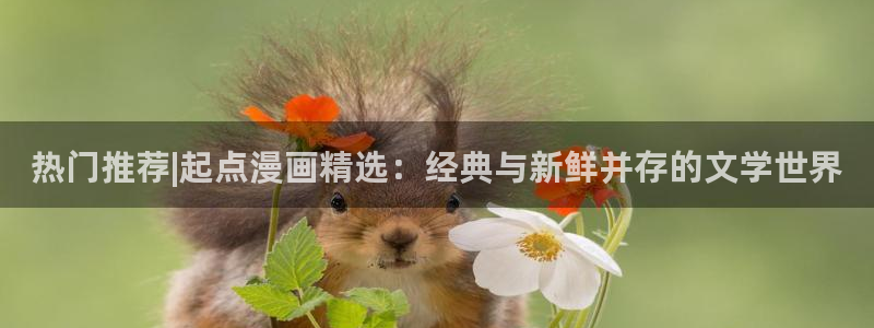 kakaopage韩漫官网：热门推荐|起点漫画精选：经典与新鲜并存的文学世界