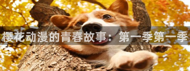 禁漫天堂官网网址：樱花动漫的青春故事：第一季第一季