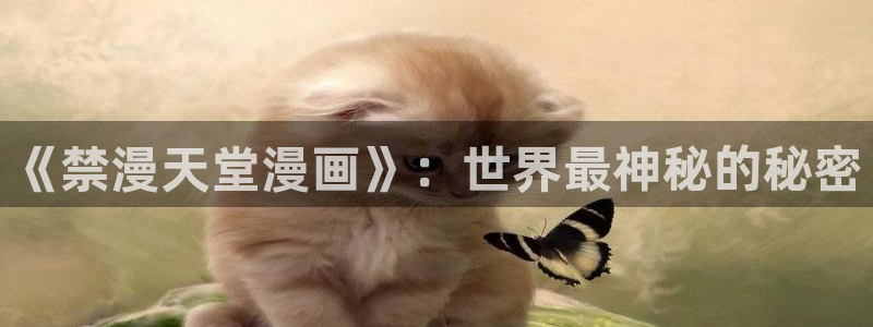 禁漫天堂正版网：《禁漫天堂漫画》：世界最神秘的秘密