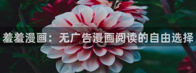 禁漫天堂官网樱花动漫：羞羞漫画：无广告漫画阅读的自由选择