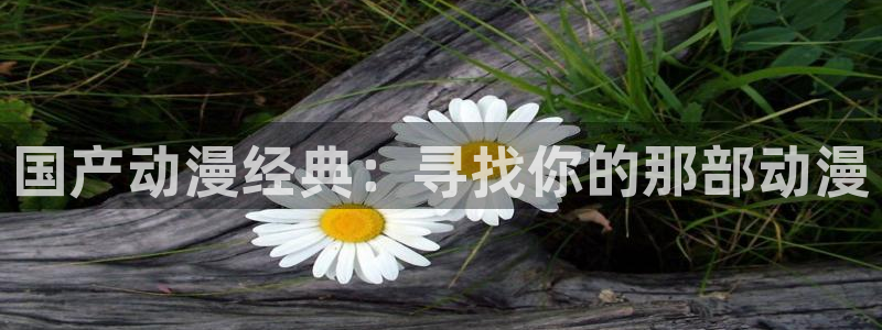 managereader漫画官网入口：国产动漫经典：寻找你的那部动漫