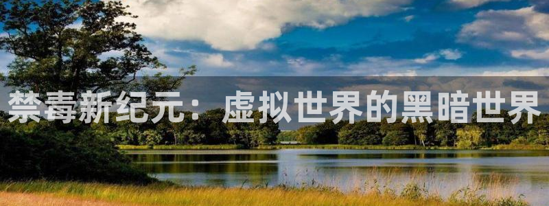 下载禁漫天堂：禁毒新纪元：虚拟世界的黑暗世界