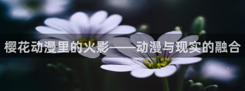 禁漫天堂下载：樱花动漫里的火影——动漫与现实的融合