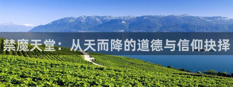 禁漫天堂官网樱花动漫：禁魔天堂：从天而降的道德与信仰抉择