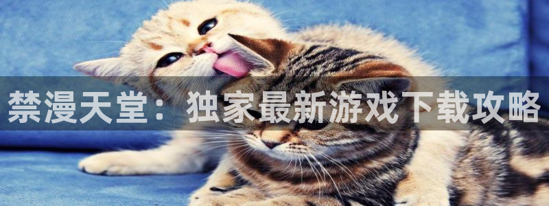 managereader漫画官网入口：禁漫天堂：独家最新游戏下载攻略