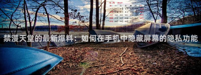 禁漫天堂专注动漫的门户网站：禁漫天堂的最新爆料：如何在手机中隐藏屏幕的隐私功能