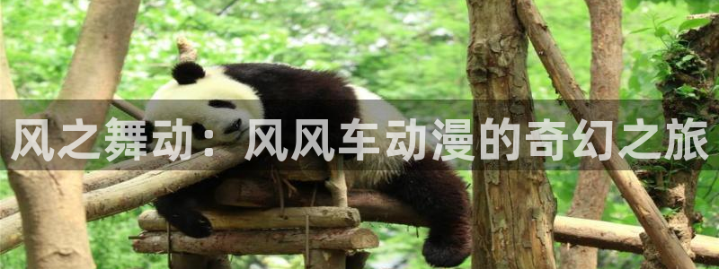 禁漫天堂：风之舞动：风风车动漫的奇幻之旅