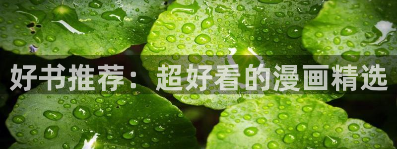 禁漫天堂官网樱花动漫：好书推荐：超好看的漫画精选