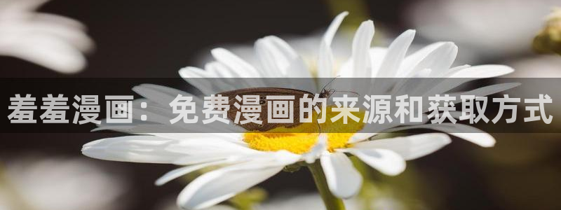 age樱花动漫